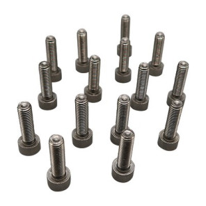 Vis m5x18 (15 pcs.)- DE DIETRICH - S59141  - (X15)