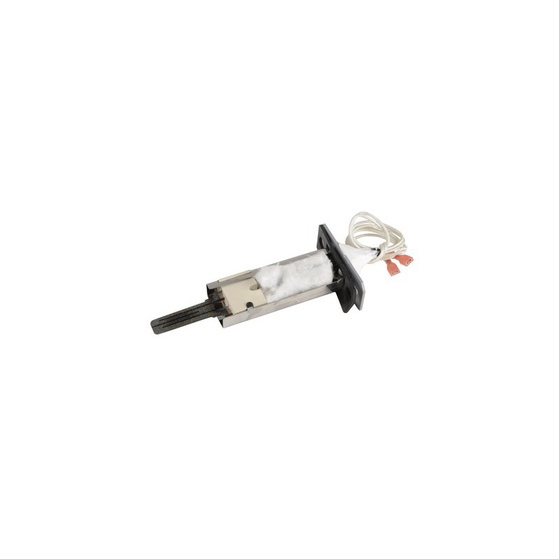 Elettrodo bruciatore Athena version 1- ATLANTIC - 000087