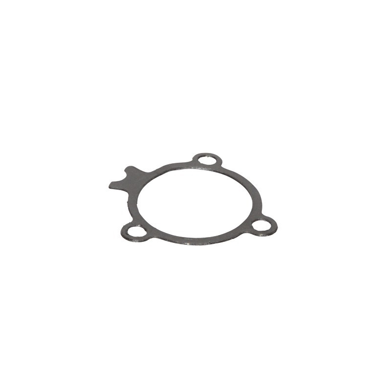 Guarnizione bruciatore- SAUNIER DUVAL - 0010036498