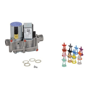 Gruppo gas- VAILLANT - 0020019992