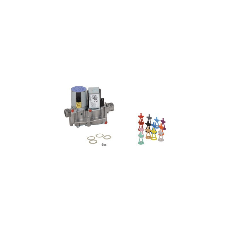Gruppo gas- VAILLANT - 0020019992
