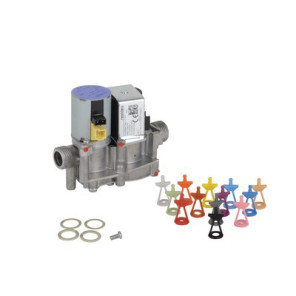 Gruppo gas- VAILLANT - 0020019992