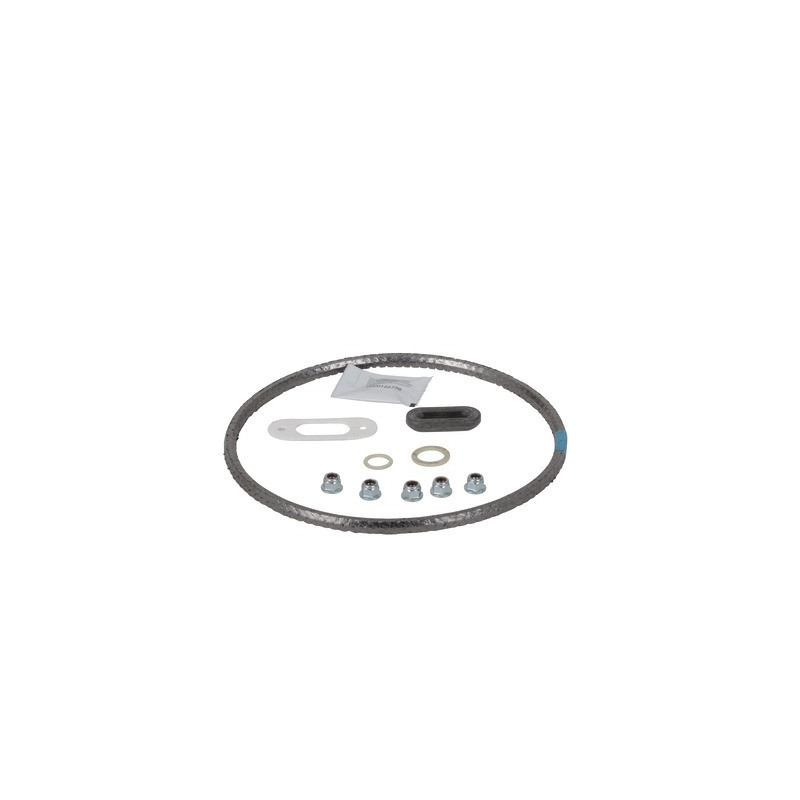 Kit guarnizioni (ex 981046)- VAILLANT - 0020025929