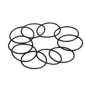 Guarnizione- SAUNIER DUVAL - 0020084555