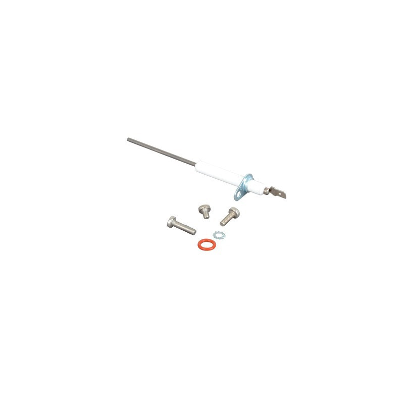 Capteur de flamme- AOSMITH - 0310075(S)