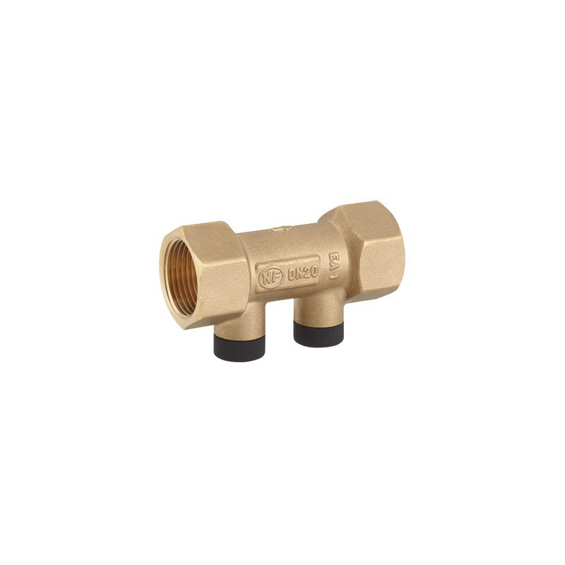 Valvola di ritegno nf antinquinamento hosta 3/4" FF- DIFF - 110305