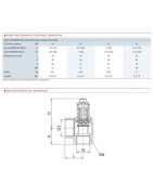 Valvola di sicurezza sanitari 7b rotella uscita maggiorata F1/2"- GOETZE - 651MWNK-15-F/F-15/20