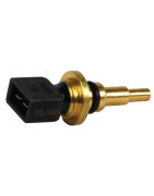 Sonda termistore- DIFF pour Chaffoteaux - 61000733