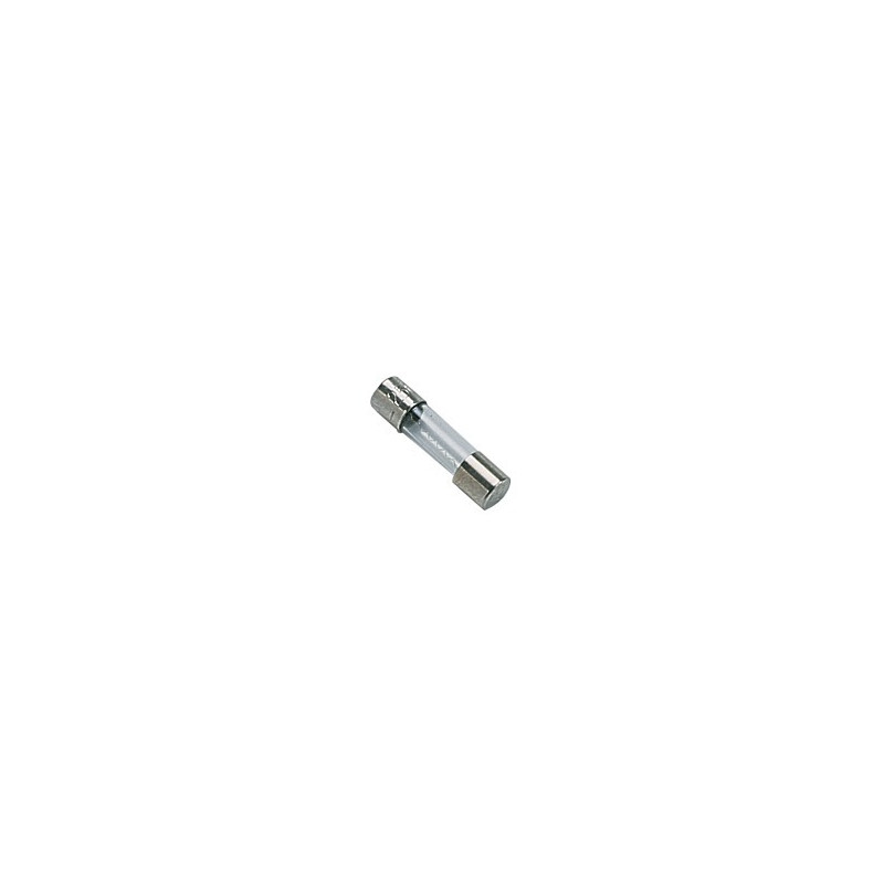 Fusibile 250V 2A temporizzato- DIFF pour Chaffoteaux - 61003456  - (X10)