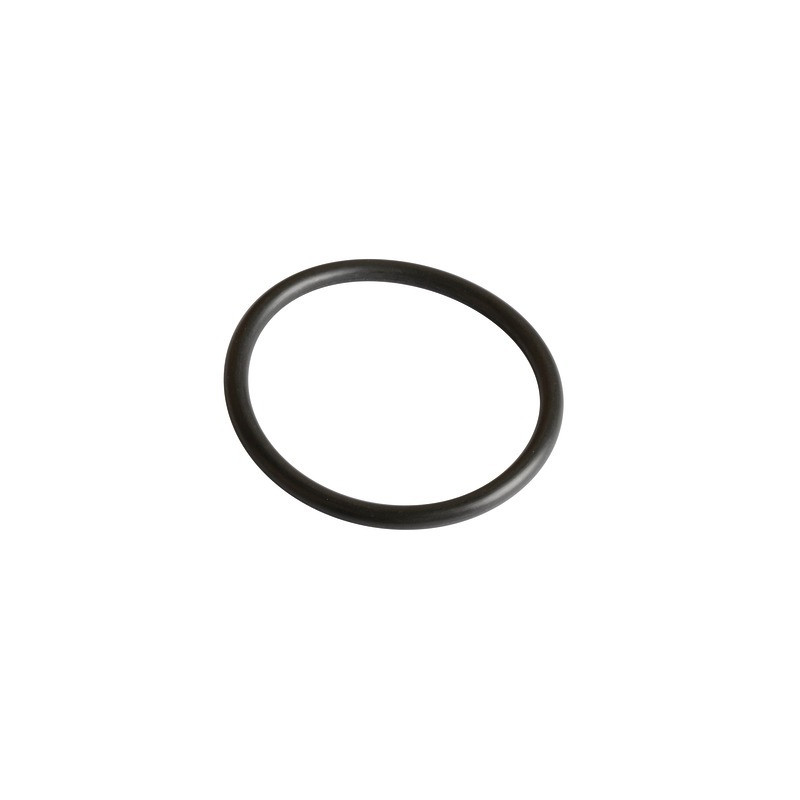 Guarnizione R36 viton- FRISQUET - 240134