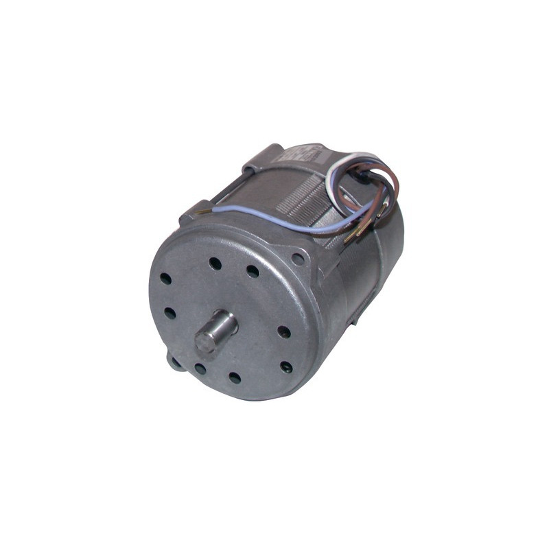 Motore bruciatore 150W p/15M/20M- RIELLO - 3005820