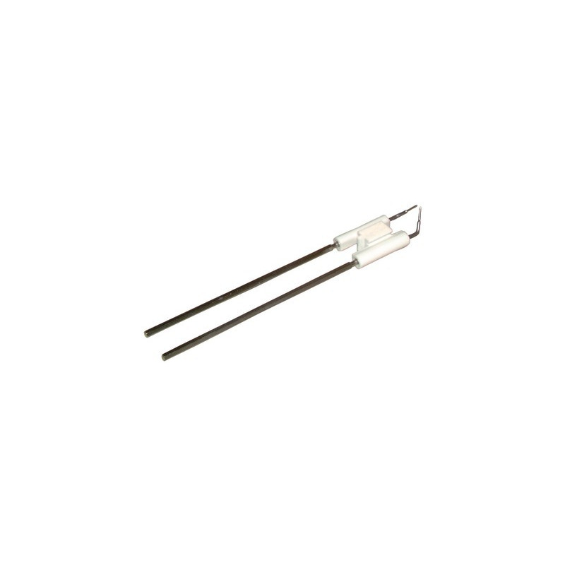 Gruppo elettrodi 15M/20M- RIELLO - 3006076