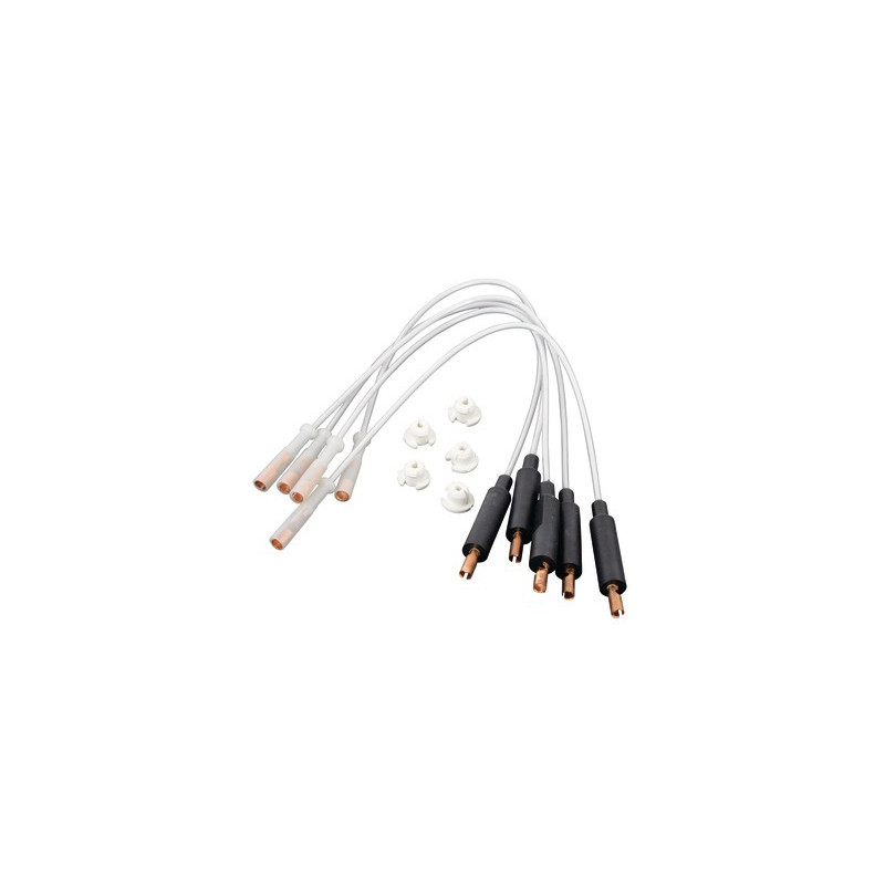 Cavo alta tensione- RIELLO - 3008491  - (X5)