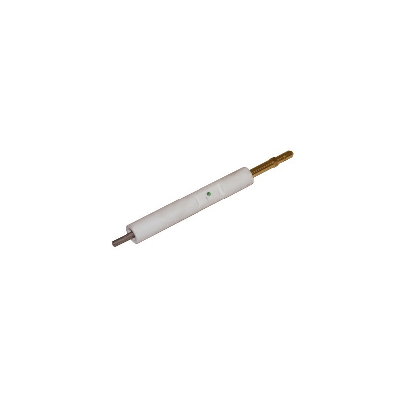 Elettrodo accensione BS1- RIELLO - 3008930