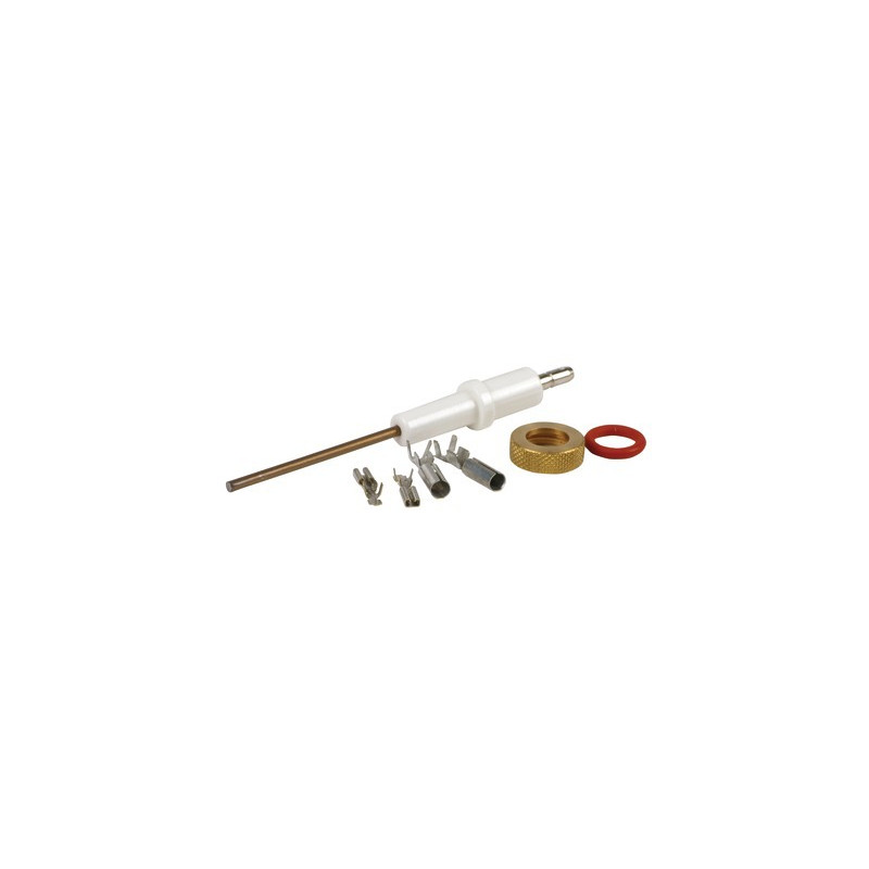 Elettrodo rilevazione ECONCEPT- FERROLI - 39806200