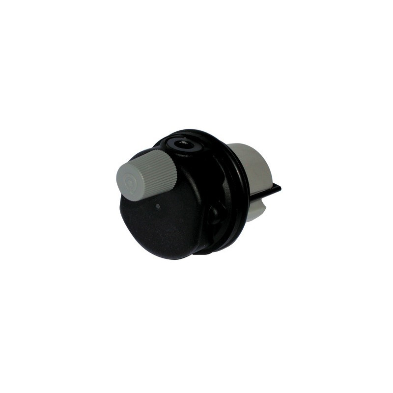 Testa degasatore in plastica- FERROLI - 39818220