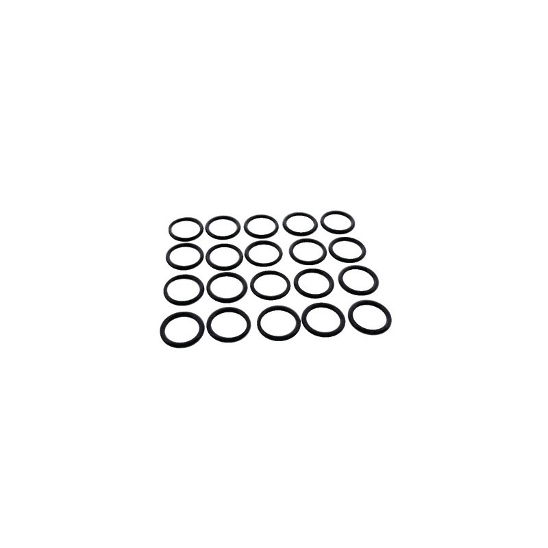 Guarnizione sanitaria cdc- FERROLI - 39837700  - (X20)