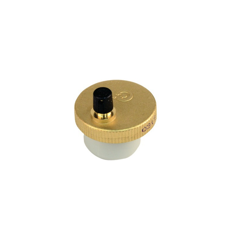 Valvola sfogo aria automatica- DIFF pour Frisquet - F3AA40890