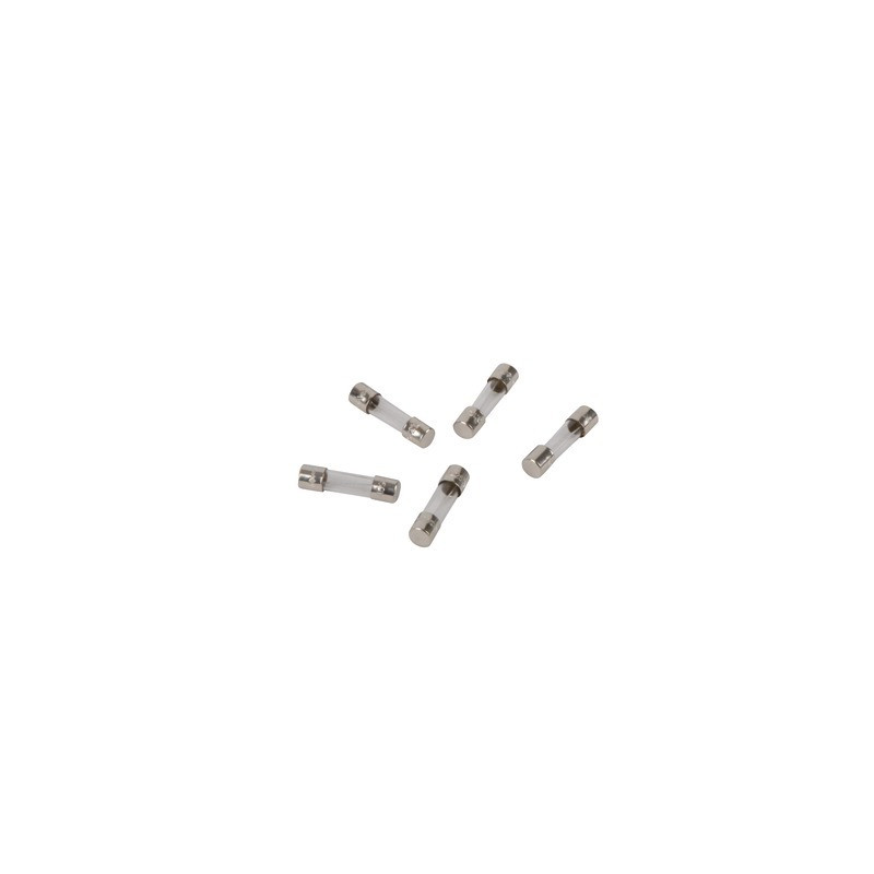 Assortimento di fusibili 3,15A 250V- DIFF pour Frisquet - F3AA41212  - (X5)