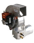 Estrattore 24 KW- RIELLO - 4050017