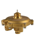 Gruppo membrana sanitaria- RIELLO - 4363779