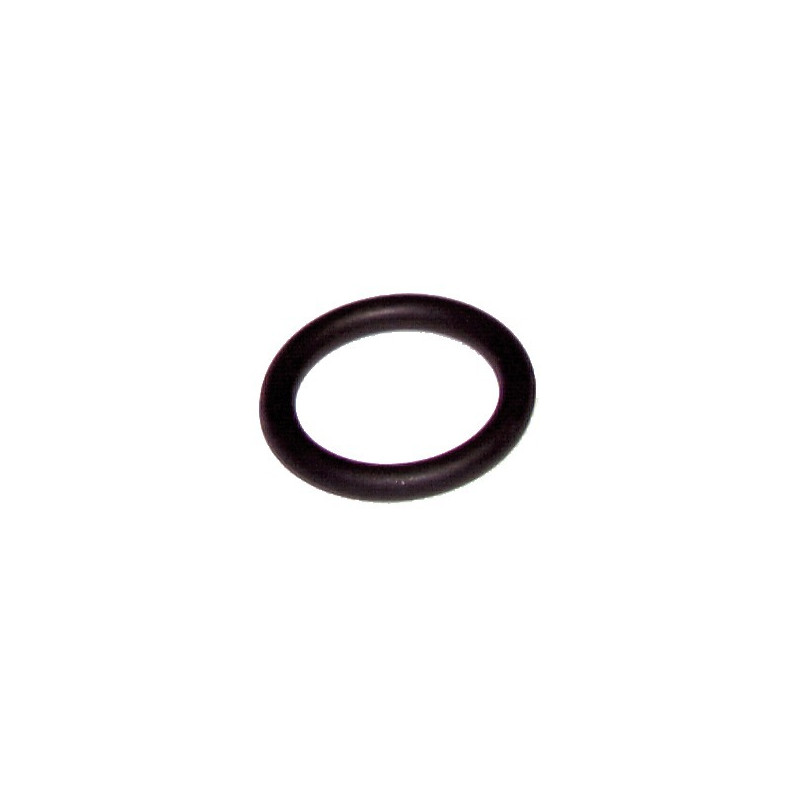O-Ring Residence- RIELLO - 4364282  - (X10)