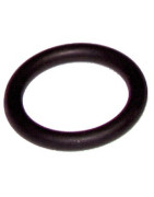 O-Ring Residence- RIELLO - 4364282  - (X10)