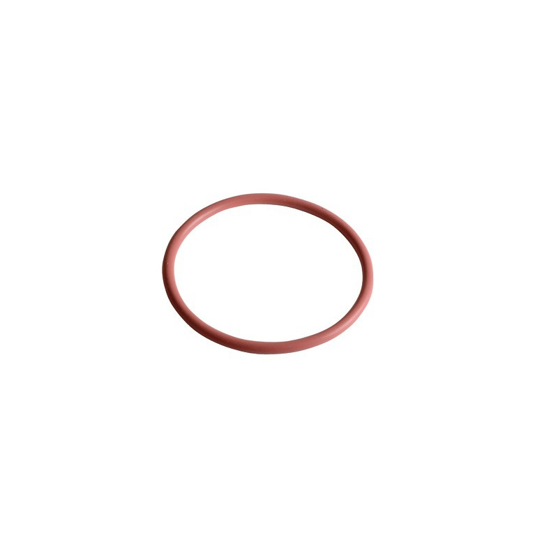Guarnizione  tampone ispezioni res- DIFF - 457009