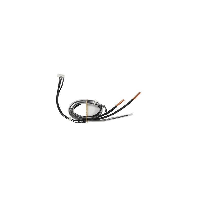 Gruppo sonda 3P317850-1- DAIKIN - 5009957