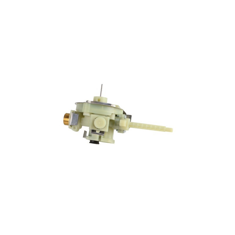 Gruppo acqua composta- CHAFFOTEAUX - 60001039