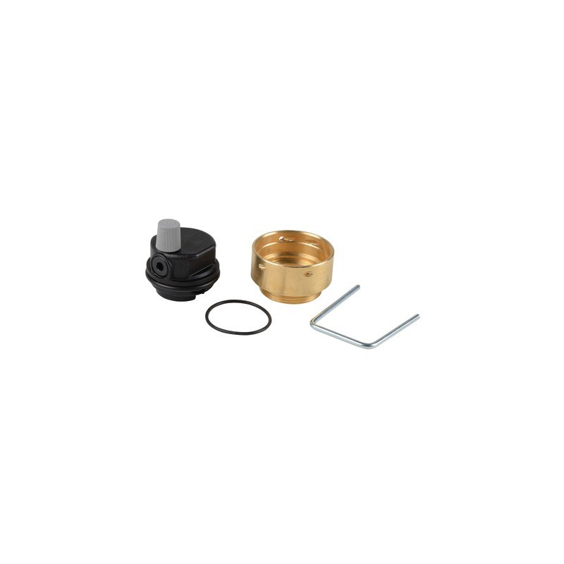 Testa degasatore- CHAFFOTEAUX - 61304608