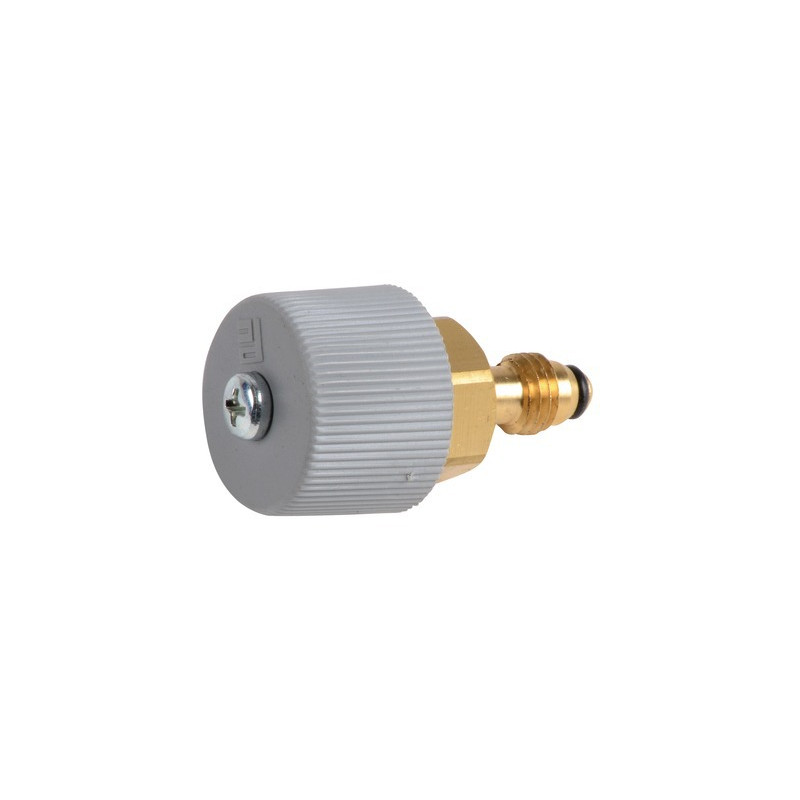 Testa rubinetto- CHAFFOTEAUX - 61314798