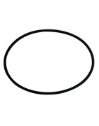 Guarnizione stagna D93x3 MM4- GEMINOX - 63002998 Guarnizione stagna D93x3 MM4- GEMINOX - 63002998