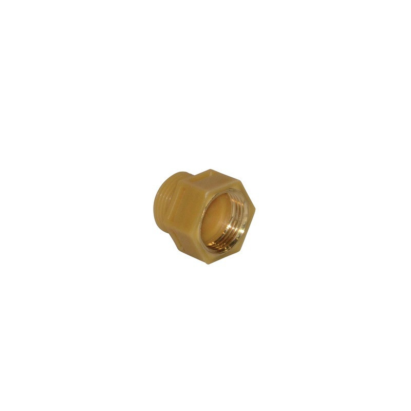 Raccord diélectrique 3/4- CHAFFOTEAUX - 65120756