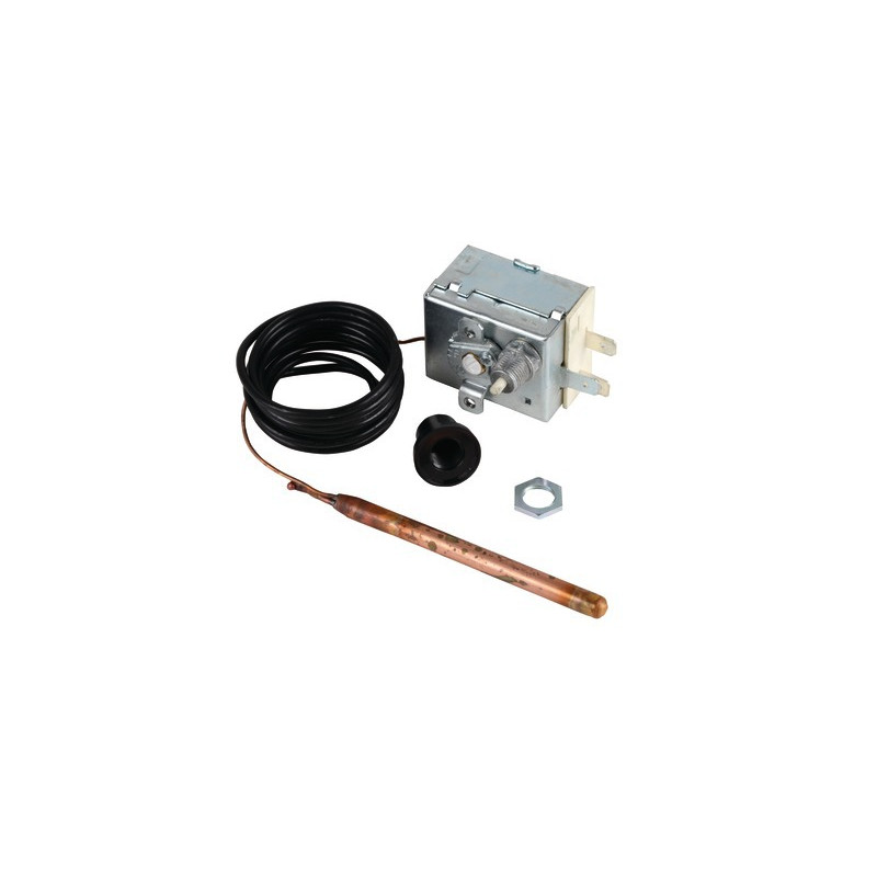 Termostato acqua dLS1 RM 90/110 100MV- DIFF - 703425