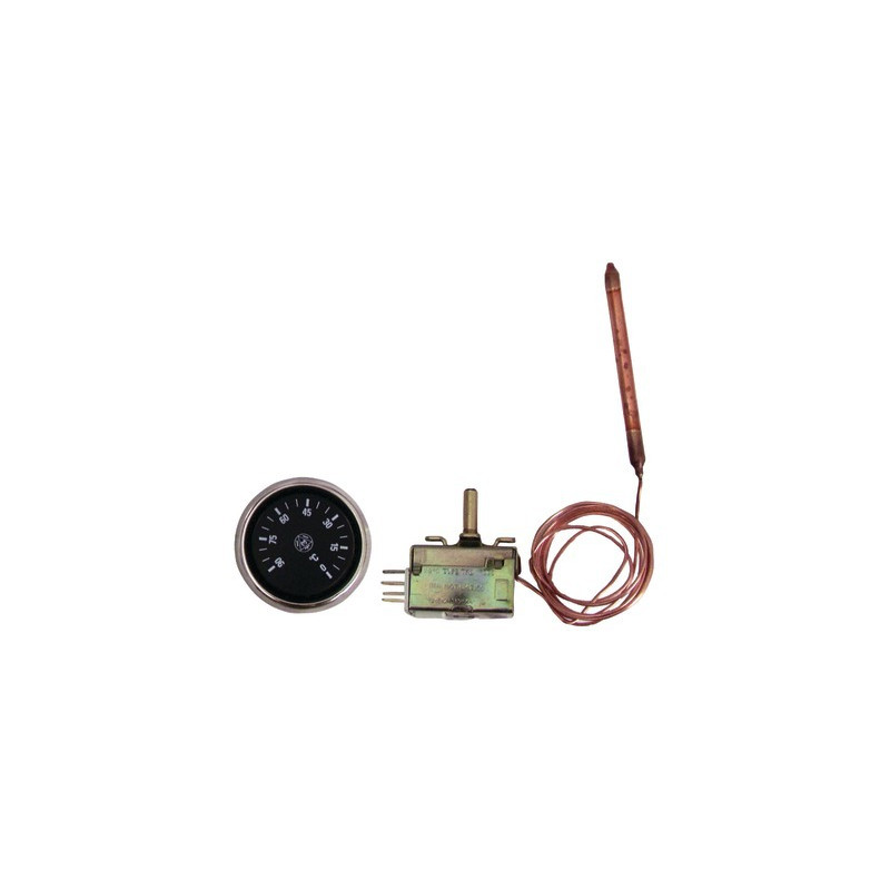 Termostato regolazione acqua a bulbo AB100.4 1M 0/90°- DIFF - 703433