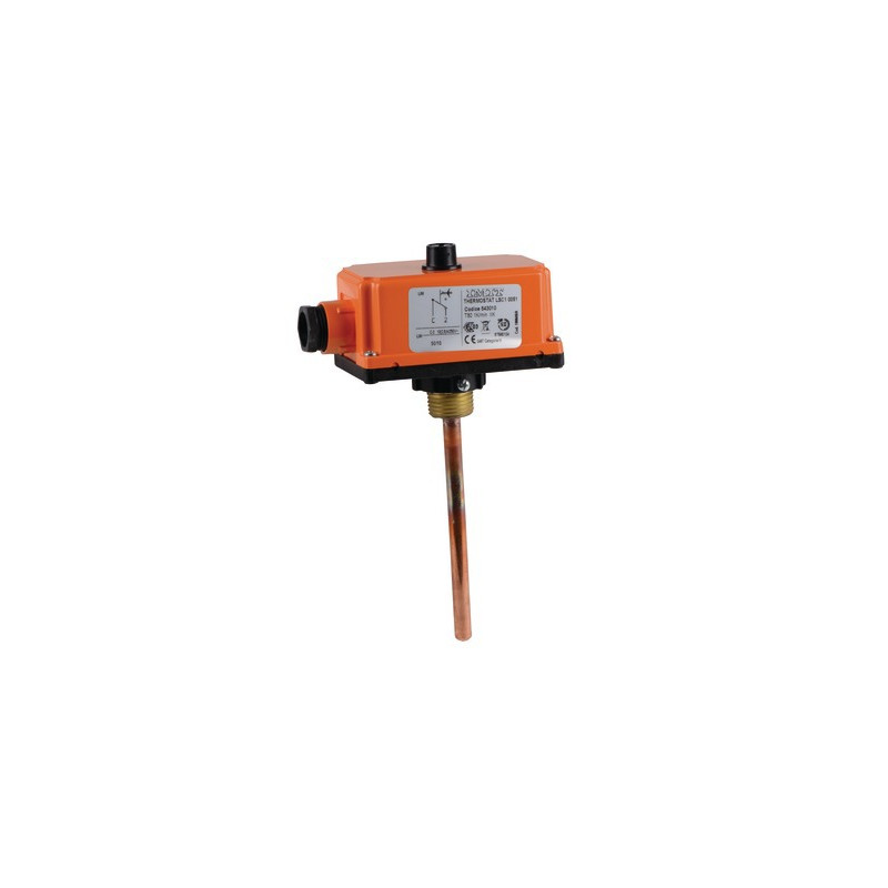 Termostato sicurezza acqua- IMIT - 543010