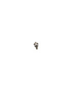 Thermostat- CHAPPEE - 711427700 Thermostat- CHAPPEE - 711427700
