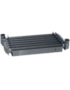 Echangeur chauffage 24kw+clip- DE DIETRICH CHAPPEE - 722539500 Echangeur chauffage 24kw+clip- DE DIETRICH CHAPPEE - 722539500