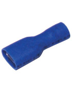 Terminale faston femmina- DIFF - 802123  - (X12)