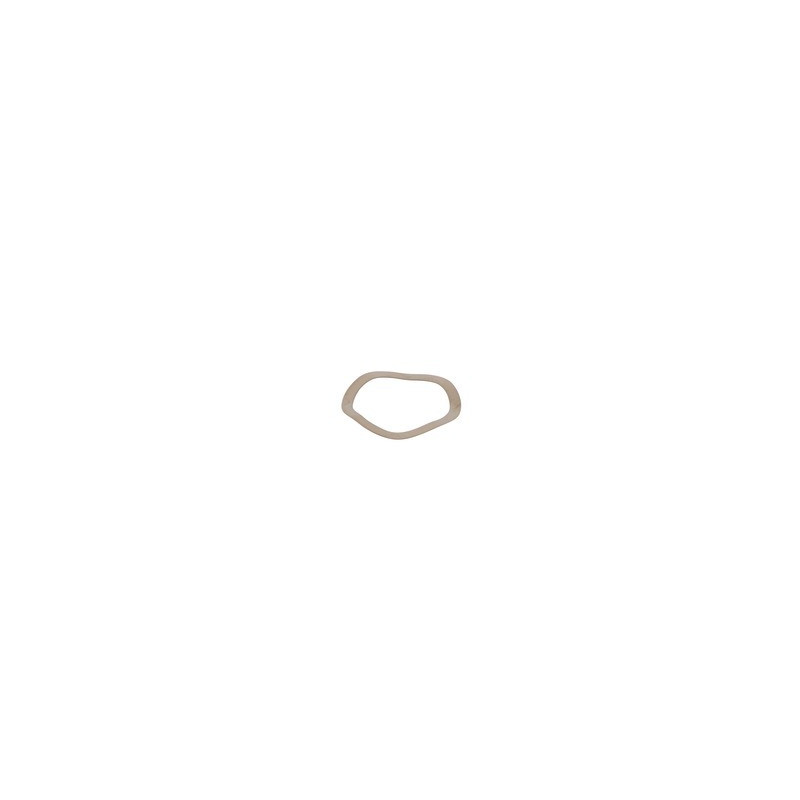 Rondella elastica inox- GEMINOX - 87168006920