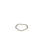 Rondella elastica inox- GEMINOX - 87168006920