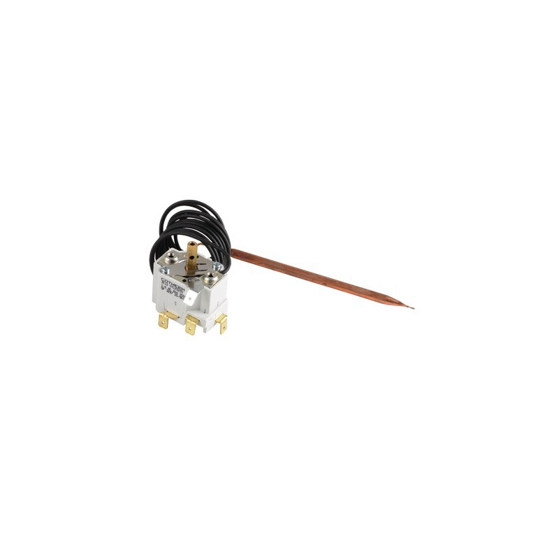 Termostato 20/80 CAP 1,5m invertitore- GEMINOX - 87168109720