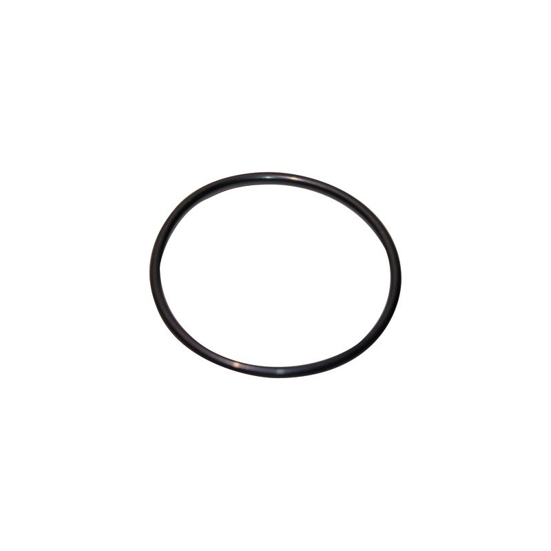 Guarnizione 120,02x6,99-n- GEMINOX - 87185725380