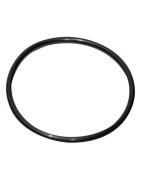 Guarnizione 120,02x6,99-n- GEMINOX - 87185725380