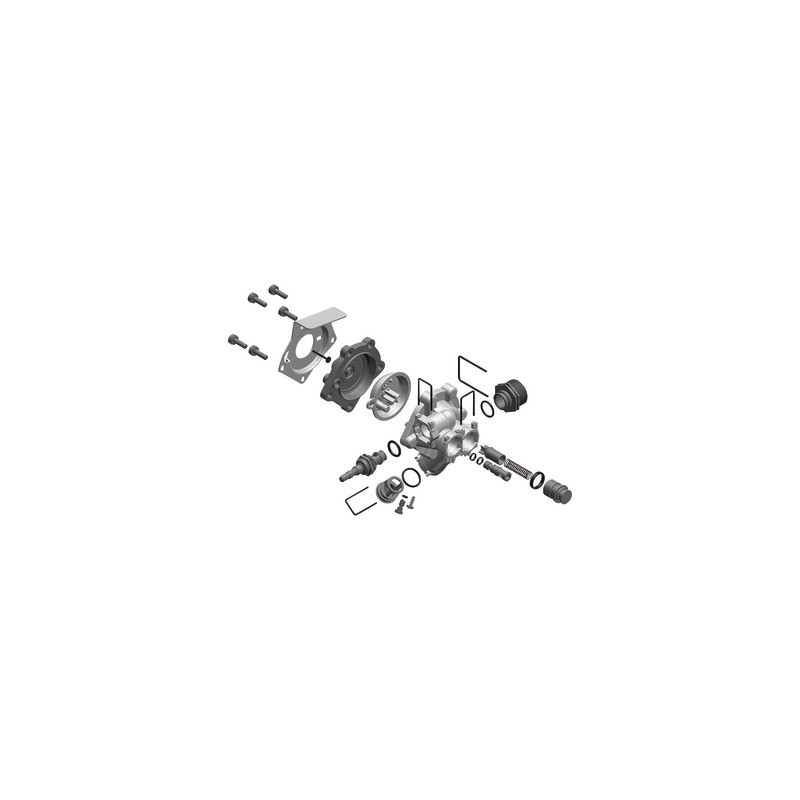 Robinet d´eau (Membrane ovale) (noir)- BOSCH - 8738728064