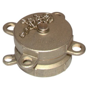 Raccordo di carico attacco F Ø 2" con tappo da avvitare- DIFF - 903487