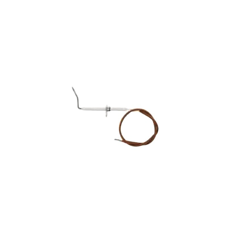 Kit elettrodo rilevazione M295- BIASI - BI1413106