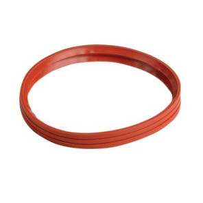 Guarnizione aria a labbro d:100 dopo 2001- FRISQUET - F3AA40682