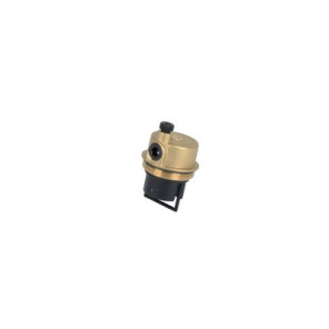 Purgeur automatic laiton (circulateur)- DE DIETRICH CHAPPEE - JJD000607290